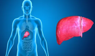 <p><strong>Cirrhosis of the Liver symptoms causes treatment...- India TV Hindi
