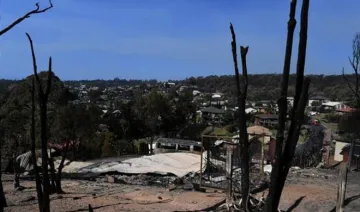 90 houses destroyed due to fire in forests in Australia- India TV Hindi
