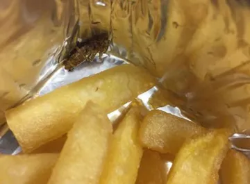 cockroach in french fries and unidentified object in Pepsi bottle- India TV Paisa