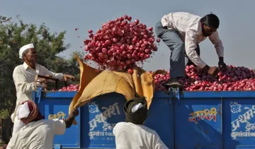 Onion export falls 25 percent- India TV Paisa