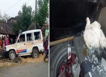 <p>Bihar police van mowed down a pregnant women</p>- India TV Hindi