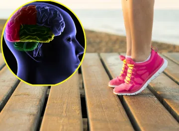 Revealed in the study healthy brain requires foot workout- India TV Hindi