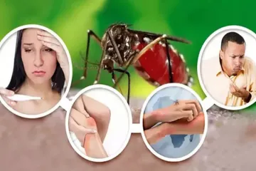 national Dengue day- India TV Hindi