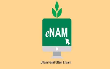 Additional 200 markets will be linkes with enam by march 2019 - India TV Paisa