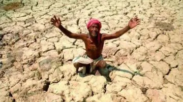 6 farmers commit suicide in last one week | PTI Representational- India TV Hindi