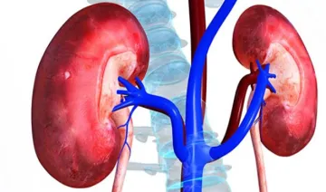 <p>kidney problem</p>- India TV Hindi