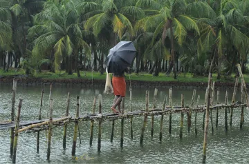 Monsoon likely to hit Kerala in 24-48 hours says Skymet Weather- India TV Paisa