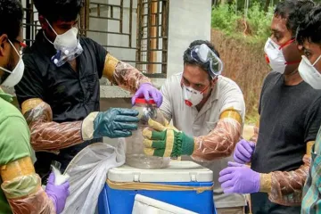 Tests rule out bats as source of Nipah virus in Kerala | PTI- India TV Hindi