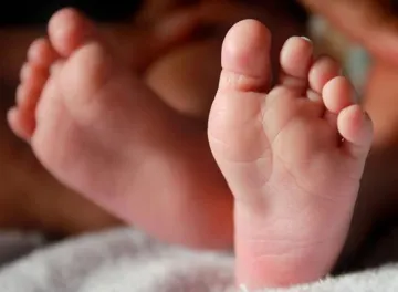 <p>Baby birth breaks rule on Brazilian island</p>- India TV Hindi