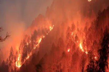 Fire continues to rage in Uttarakhand forests; locals complain of govt inaction - India TV Hindi