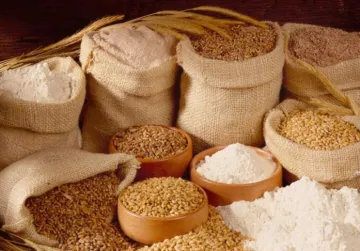 Govt rises import duty on wheat to 30 percent- India TV Paisa