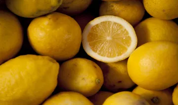 <p>lemon</p>- India TV Hindi