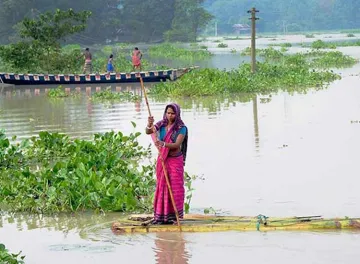 <p>flood</p>- India TV Hindi