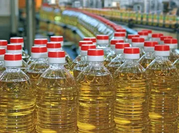 Govt removes stock limit on vegetable oil and oilseeds- India TV Paisa