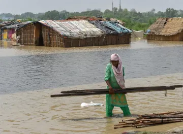 हरियाणा, यमुना, बाढ़- India TV Hindi