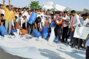 महाराष्ट्र में सड़कों पर बह रही हैं दूध की नदियां, आंदोलनकारी कर रहे सब्सिडी की मांग- India TV Hindi