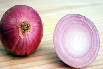 <p>onion</p>- India TV Hindi