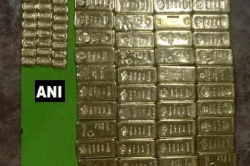 <p>Rs 163 crore 100 kg gold seized in country biggest raid...- India TV Hindi