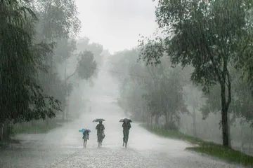 Uttrakhand Rain- India TV Hindi