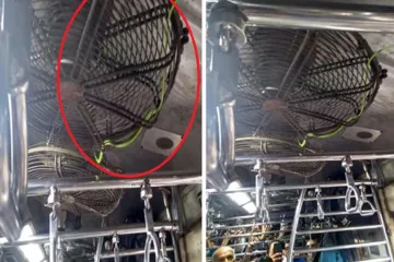 <p>snake on ceiling fan inside train</p>- India TV Hindi