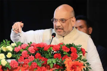 Hyderabad: Centre's action plan on fuel prices soon, says Amit Shah | PTI- India TV Hindi
