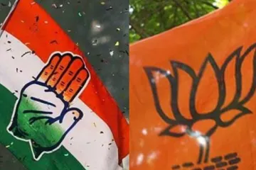 BJP central leaders to take stock of situation in Goa, Congress keeps watch | PTI- India TV Hindi