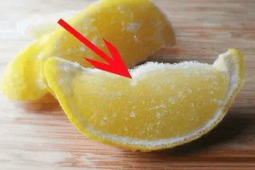 Frozen Lemon- India TV Hindi