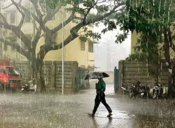 Maharashtra, water, monsoon- India TV Hindi