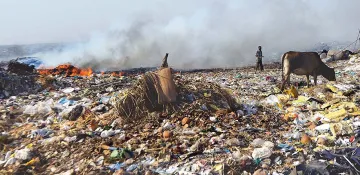 <p>Bhalaswa landfill site</p>- India TV Hindi