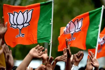 <p>bjp</p>- India TV Hindi