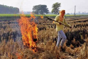 <p>Stubble burning in neighbouring states</p>- India TV Hindi