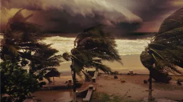 <p>Cyclone Titli</p>- India TV Hindi