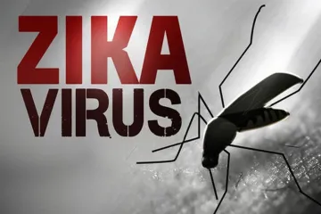 Zika Virus- India TV Hindi