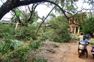 <p>A view of the damage caused by cyclone 'Gaja', after it...- India TV Hindi