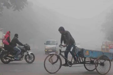 Delhi cold- India TV Hindi