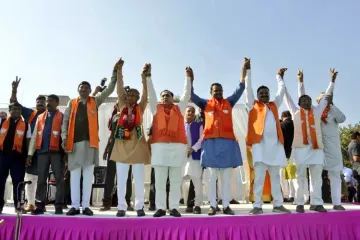 <p>BJP wins Jasdan assembly bypoll in Gujarat</p>- India TV Hindi