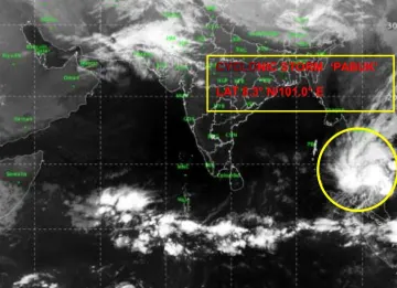 <p>Cyclone Pabuk</p>- India TV Hindi