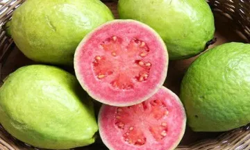 guava- India TV Hindi