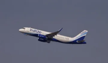 <p>indigo plane</p>- India TV Hindi
