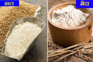 <p>wheat flour and maida</p>- India TV Hindi