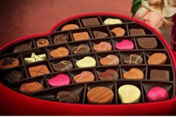  Happy Chocolate Day- India TV Hindi