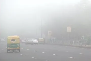 <p>Fog</p>- India TV Hindi