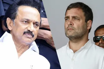 <p>DMK president M K Stalin and Congress president Rahul...- India TV Hindi
