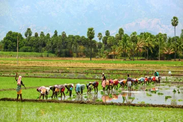 agricultural survey- India TV Hindi