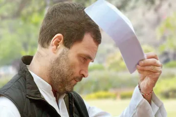 <p>congress president rahul gandhi</p>- India TV Hindi