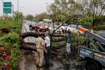 <p>Police personnel look on as people remove a fallen tree...- India TV Hindi