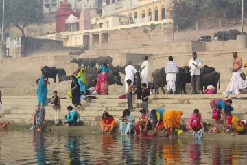 Ganga River water unfit for direct drinking and bathing, says CPCB | Pixabay- India TV Hindi
