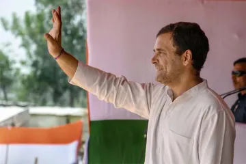Rahul gandhi- India TV Hindi