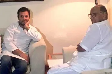 <p>Rahul Gandhi and Sharad Pawar</p>- India TV Hindi