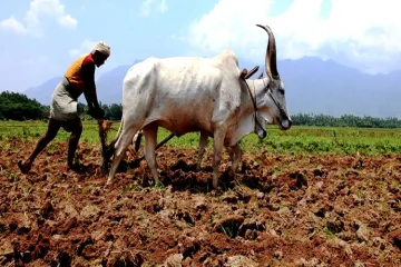 maharashtra farmers- India TV Hindi